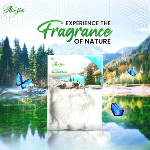 Air Fix Air Freshener Scented 4 Bags 40g