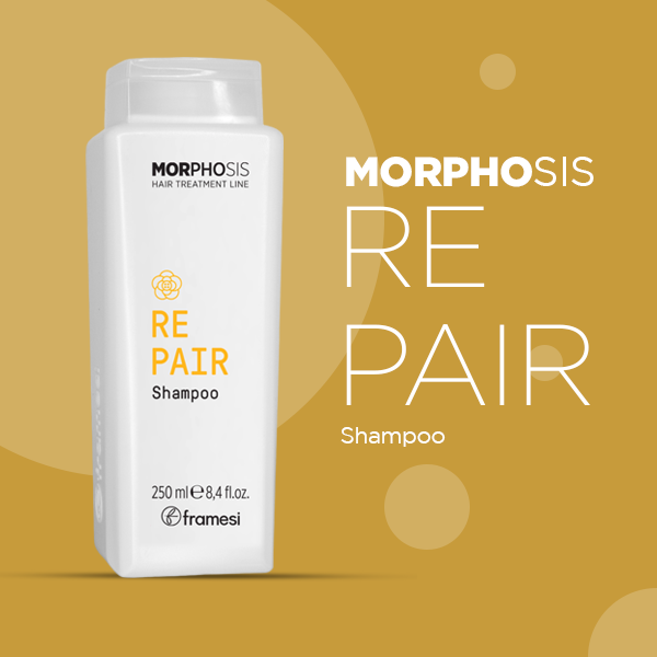 Framesi Morphosis Repair Shampoo 250ml