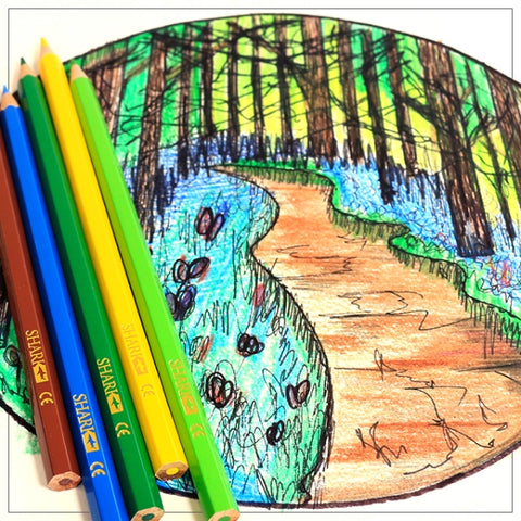 Shark Colorfun Pencils Hexagonal Full Size 12 Colors