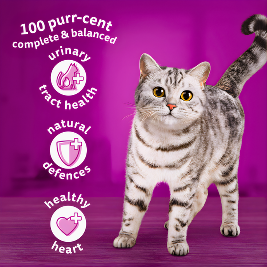WHISKAS CHICKEN WITH DELICIOUS 7+ CAT FOOD 800GM