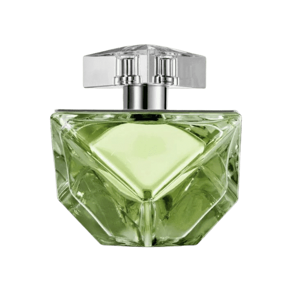 BRITNEY SPEARS BELIEVE PERFUME FOR WOMEN 100ML - Nazar Jan's Supermarket