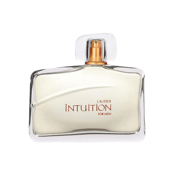 LAUDER INTUITION FOR MAN PERFUME 100ML - Nazar Jan's Supermarket