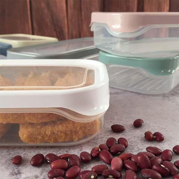 OZIBA PLASTIC MEAT CONTAINER MEDIUM - Nazar Jan's Supermarket