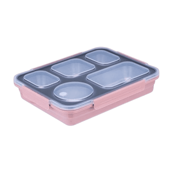 STAINLESS STEEL 5 COMPARTMENT LUNCH BOX - Nazar Jan's Supermarket
