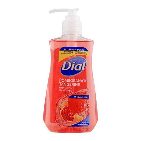 DIAL COMPLETE ANTI-BACTERIAL POMEGRANATE TANGRINE H/W 221ML - Nazar Jan's Supermarket