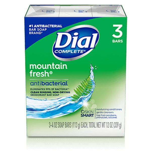 DIAL MOUNTAIN FRESH CLEAN RINSING ANTIBACTERIAL SOAP 3BRS - Nazar Jan's Supermarket