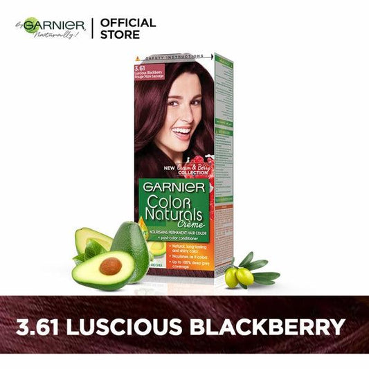 GARNIER HAIR COLOR NATURALS LUSCIOUS BLACKBERRY 3.61 - Nazar Jan's Supermarket