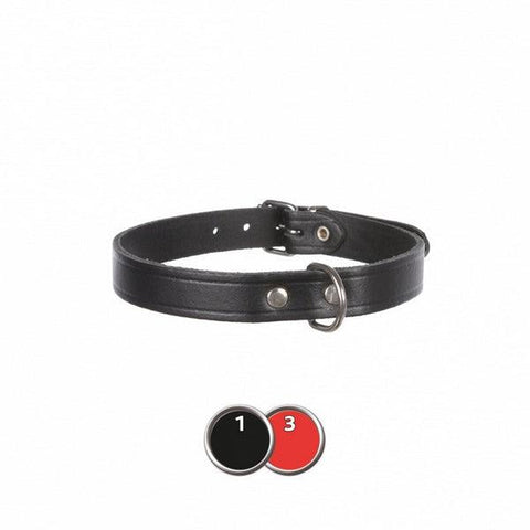 TRIXIE BASIC COLOR STUDS LEATHER M-L 22MM 19651 - Nazar Jan's Supermarket
