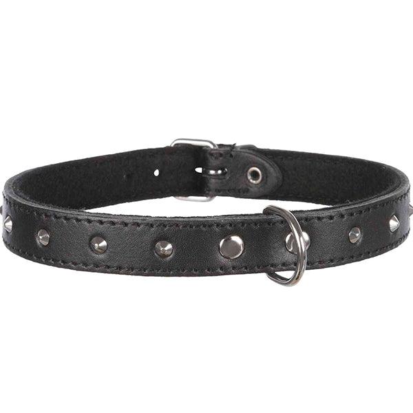 TRIXIE M BASIC 36-41CM 19641 - Nazar Jan's Supermarket