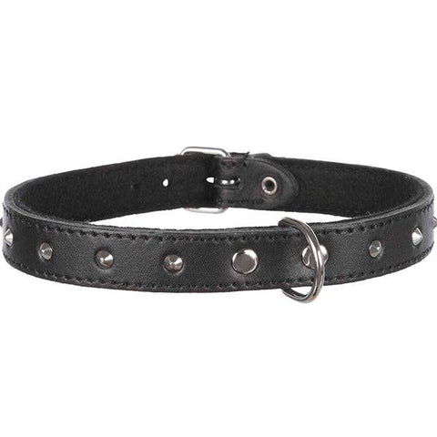 TRIXIE M BASIC 36-41CM 19641 - Nazar Jan's Supermarket